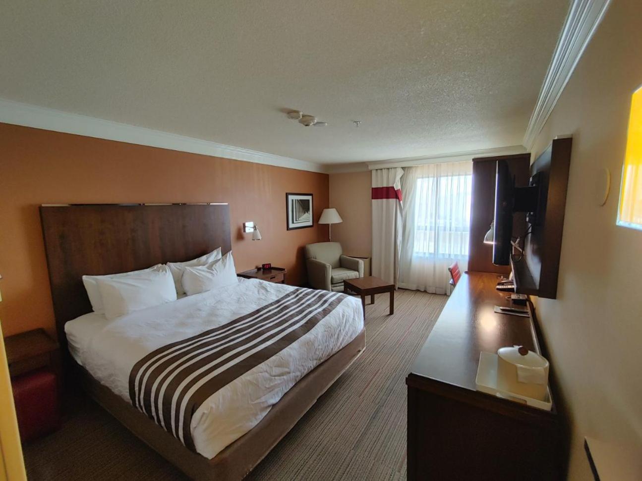 Waterloo Suites Hotel, Trademark Collection By Wyndham ภายนอก รูปภาพ